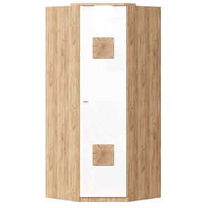 Шкаф угловой 45 с декоративной накладкой Фиджи, 659.248, белый в Курске