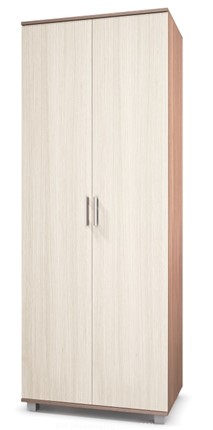 Шкаф 2-дверный Е-20, Ясень шимо светлый/темный в Курске - изображение