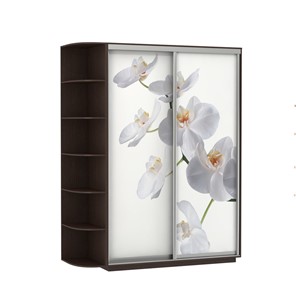 Шкаф 2-створчатый Экспресс 1900x600x2200, со стеллажом, Орхидея белая/венге в Курске