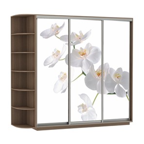 Шкаф Экспресс со стеллажом, 2100х600х2200, Орхидея белая/шимо темный в Курске - предосмотр