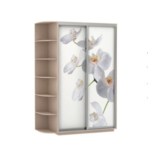Шкаф 2-дверный Экспресс 1700x600x2200, со стеллажом, Орхидея белая/дуб молочный в Курске