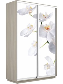 Шкаф 2-х створчатый Экспресс 1400x600x2200, Орхидея белая/шимо светлый в Курске