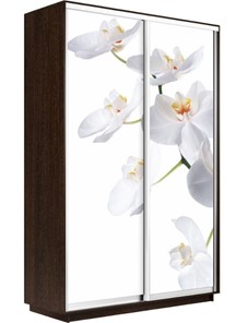 Шкаф 2-створчатый Экспресс 1400x600x2400, Орхидея белая/венге в Курске