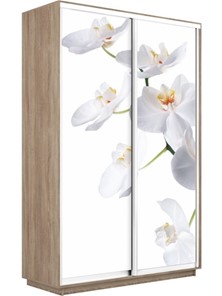 Шкаф Экспресс 1600x450x2400, Орхидея белая/дуб сонома в Курске