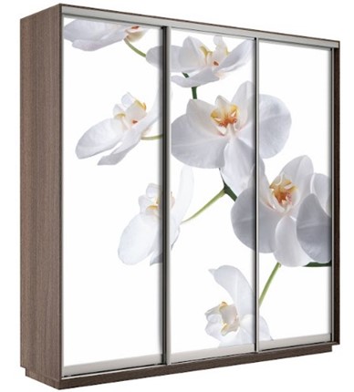 Шкаф 3-х дверный Экспресс 1800х600х2200, Орхидея бела/шимо темный в Курске - изображение