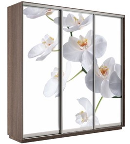 Шкаф 3-дверный Экспресс 1800х600х2400, Орхидея белая/шимо темный в Курске