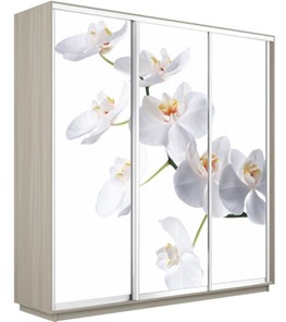 Шкаф 3-х створчатый Экспресс 2400х600х2400, Орхидея белая/шимо светлый в Курске