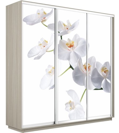 Шкаф 3-х створчатый Экспресс 2400х600х2400, Орхидея белая/шимо светлый в Курске - изображение