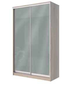 Шкаф 2-х дверный Хит-22-12-22 с цветным стеклом, средне-серый 074, Дуб сонома в Курске