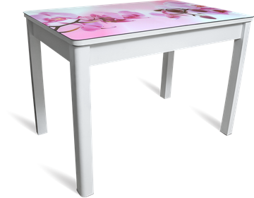 Обеденный стол Айсберг-08 СТФ, белое лдсп/орхидея/40 прямые массив белые в Курске