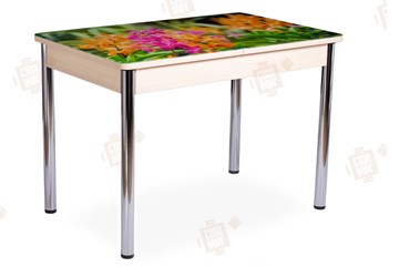 Кухонный стол раздвижной Айсберг-02 СТФ, Дуб ЛДСП/полевые цветы/ноги хром прямые в Курске