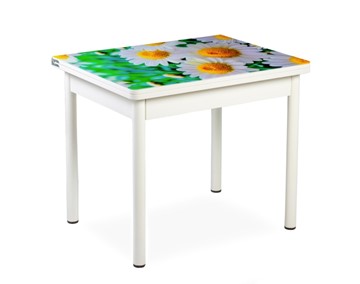 Кухонный пристенный стол СПА-01 СТФ, белый/фотопечать ромашки/опоры прямые белые в Курске