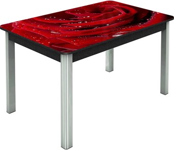 Кухонный стол раскладной Гамбург исп. Мини, ноги метал. крашеные №23, Фотопечать (Цветы №39) в Курске