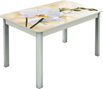 Кухонный раздвижной стол Гамбург исп.2 ноги метал. крашеные №23, Фотопечать (Цветы №5) в Курске