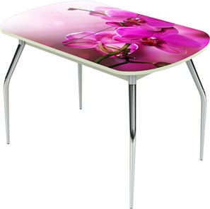 Кухонный стол раздвижной Ривьера исп.1 ноги метал. крашеные №24 Фотопечать (Цветы №16) в Курске