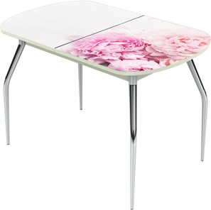 Кухонный стол раскладной Ривьера исп.1 ноги метал. крашеные №24 Фотопечать (Цветы №49) в Курске