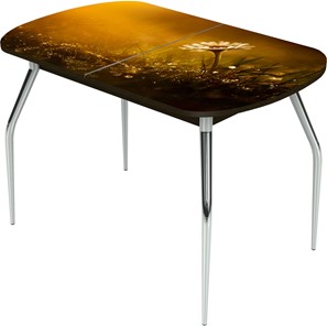 Кухонный стол раздвижной Ривьера исп.2 ноги метал. крашеные №24 Фотопечать (Цветы №43) в Курске