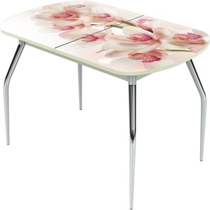 Обеденный раздвижной стол Ривьера исп.2 ноги метал. крашеные №24 Фотопечать (Цветы №8) в Курске