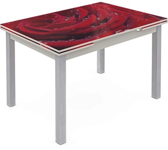 Обеденный раздвижной стол Шанхай исп. 2, ноги метал. крашеные №21 Фотопечать (Цветы №39) в Курске