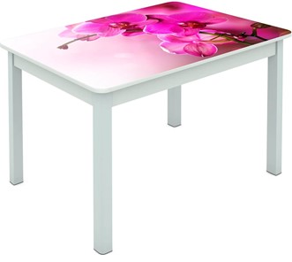 Обеденный стол Мюнхен исп. 1 ноги метал. крашеные №23 Фотопечать (Цветы №16) в Курске