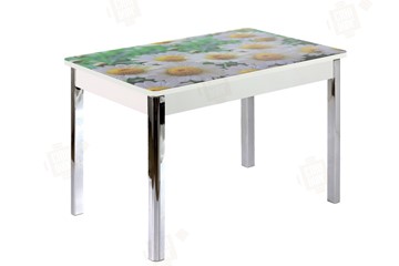 Кухонный стол раскладной Айсберг-01 СТФ, дуб/фотопечать ромашки/ноги хром квадратные в Курске