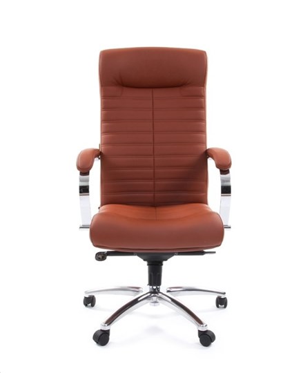 Офисное кресло CHAIRMAN 480 Экокожа Terra 111 (коричневая) в Курске - изображение 1