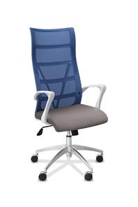 Офисное кресло для руководителя Топ X белый каркас, сетка/ткань TW / синяя/серая в Курске