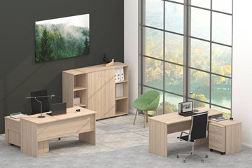 Офисный набор мебели Twin в Курске - предосмотр 4