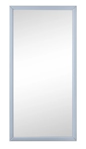 Зеркало навесное Ника (Серый) 119,5 см x 60 см в Курске