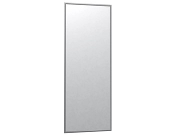 Зеркало навесное в гардероб Сельетта-6 матовое серебро (1100х400х9) в Курске