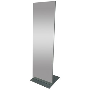 Зеркало напольное в гардероб Стелла (графит темный) 163,5 см x 50 см в Курске