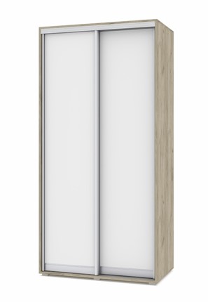 Шкаф-купе 2-х дверный О41, Серый дуб - Белый в Курске - изображение