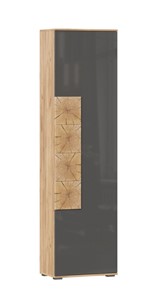 Шкаф одностворчатый Фиджи с декоративными накладками 659.300, Дуб Золотой/Антрацит в Курске