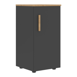 Низкий шкаф колонна с глухой дверью правой FORTA Графит-Дуб Гамильтон  FLC 40.1 (R) (399х404х801) в Курске