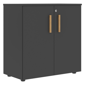 Низкий шкаф с малыми дверцами широкий FORTA Черный Графит FLC_80.1_Z__grafit.png FLC 80.1(Z) (798х404х801) в Курске